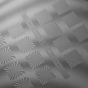 RPC PHOTONICSѧԪɢƬ΢͸Уλ